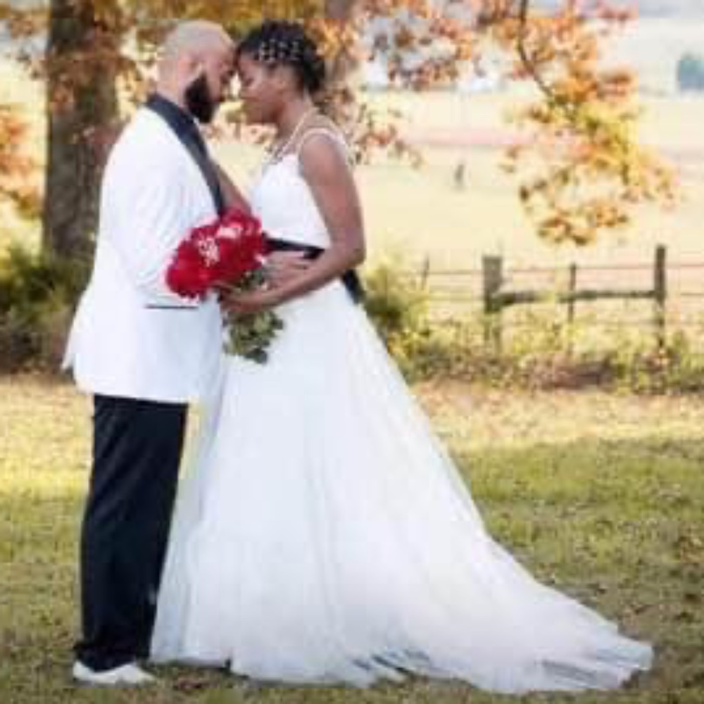 David’s Bridal Wedding Dress Size 10